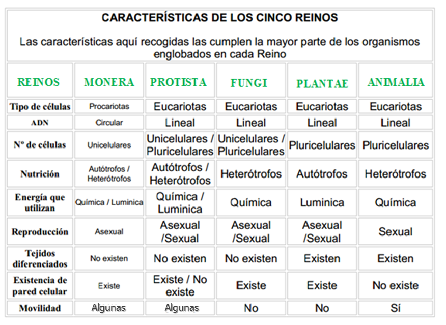 Reinos Biologicos Mind Map