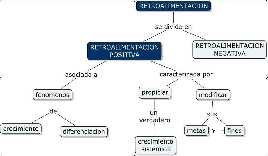 Retroalimentacion Mind Map