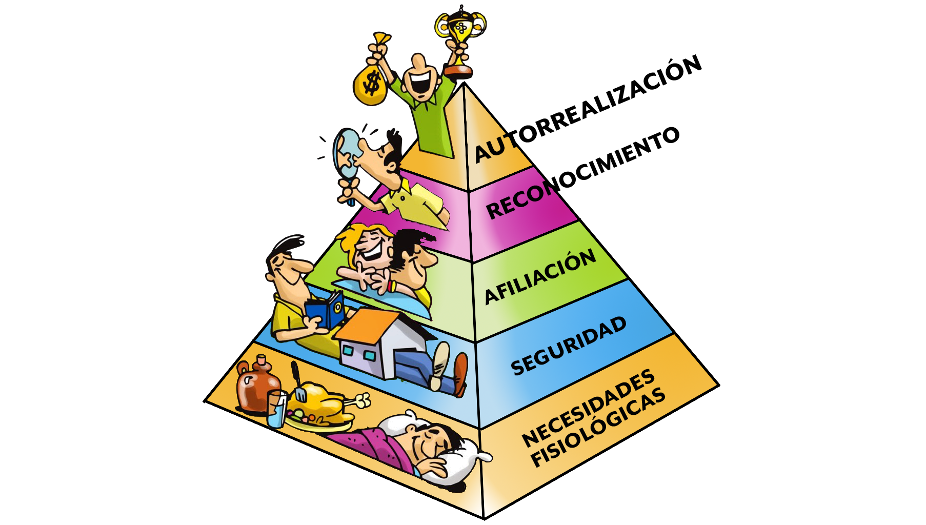 Piramide De Maslow Flashcards