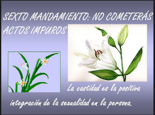 Los 10 Mandamientos Flashcards