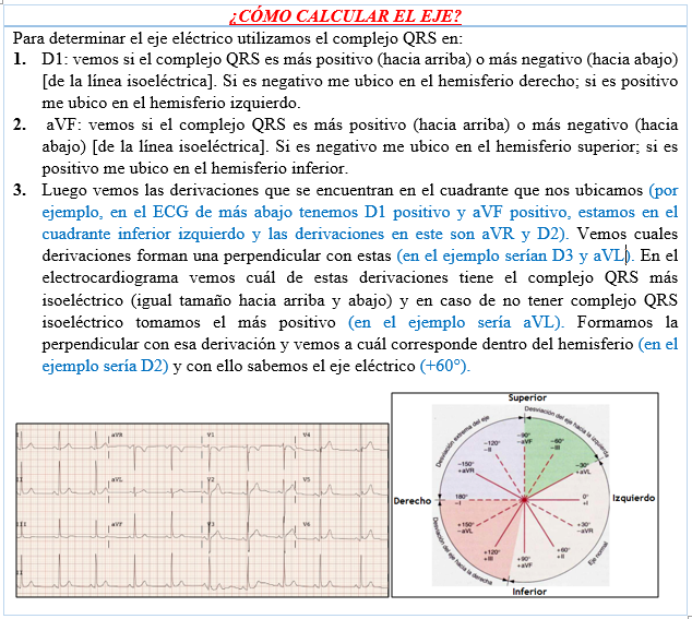 Fisiología Cardiaca Mind Map