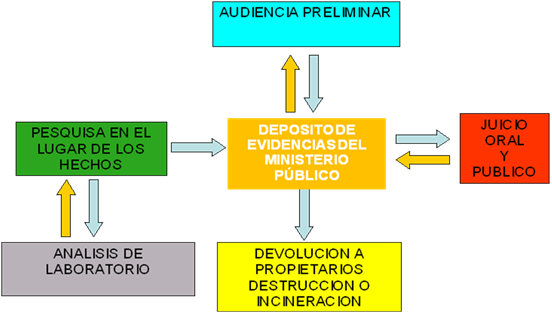 Cadena De Custodia Mind Map