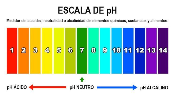 Caracteristicas Del Agua Mind Map