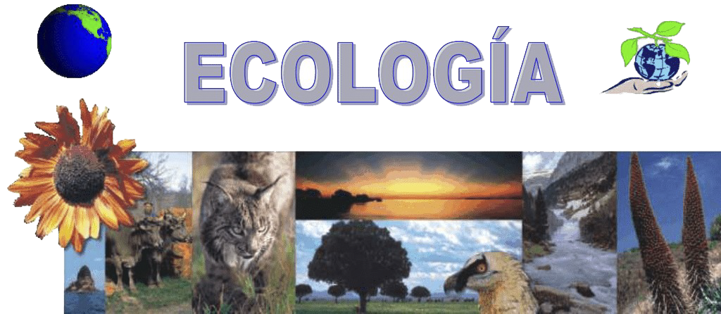 Ecolog A Mind Map