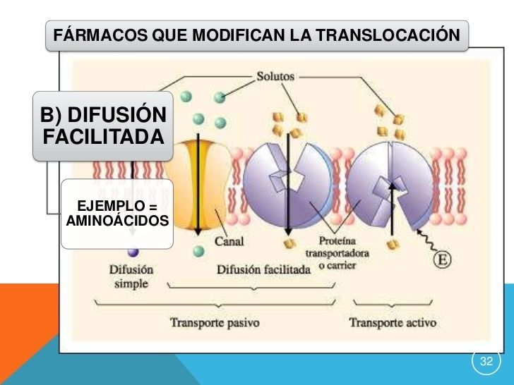 Principios De La Farmacoterapia Farmacocin Tica E Interacciones