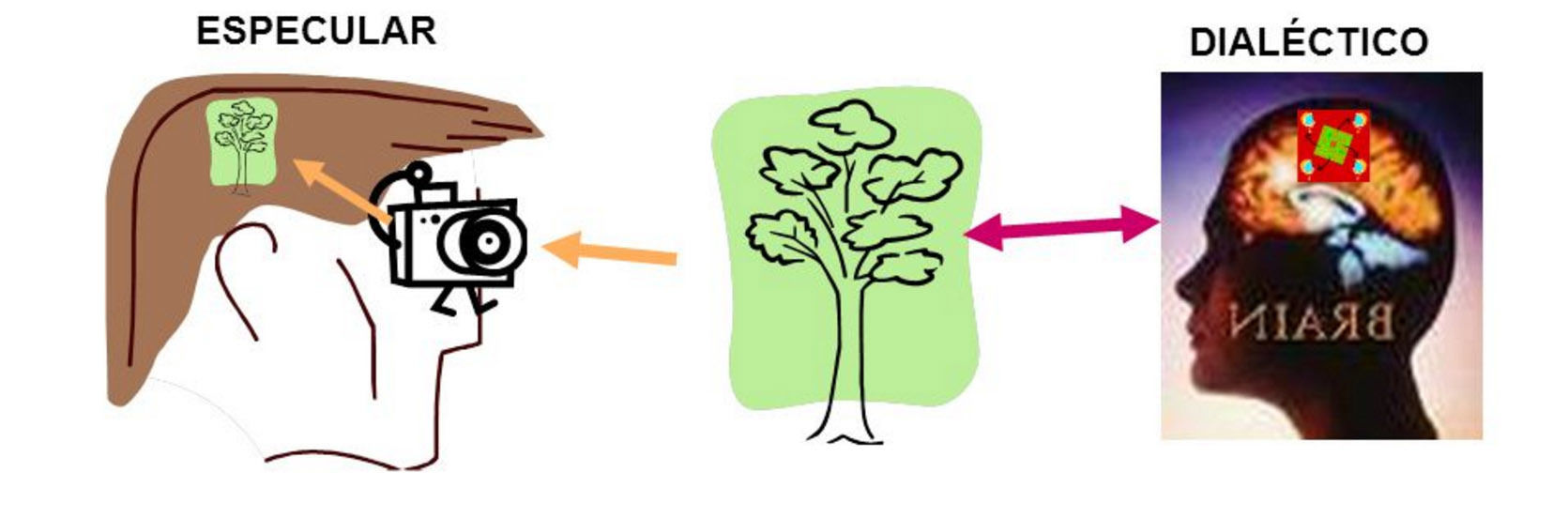 CONOCIMIENTO CIENTÍFICO Mind Map