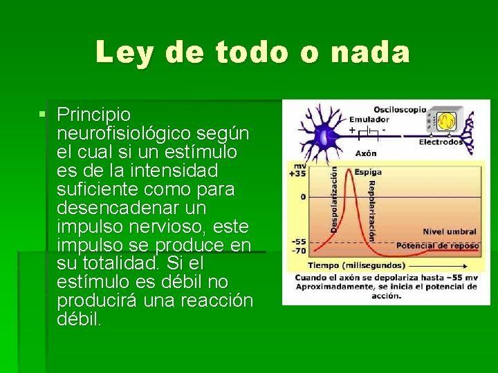 Impulso Nervioso Mind Map