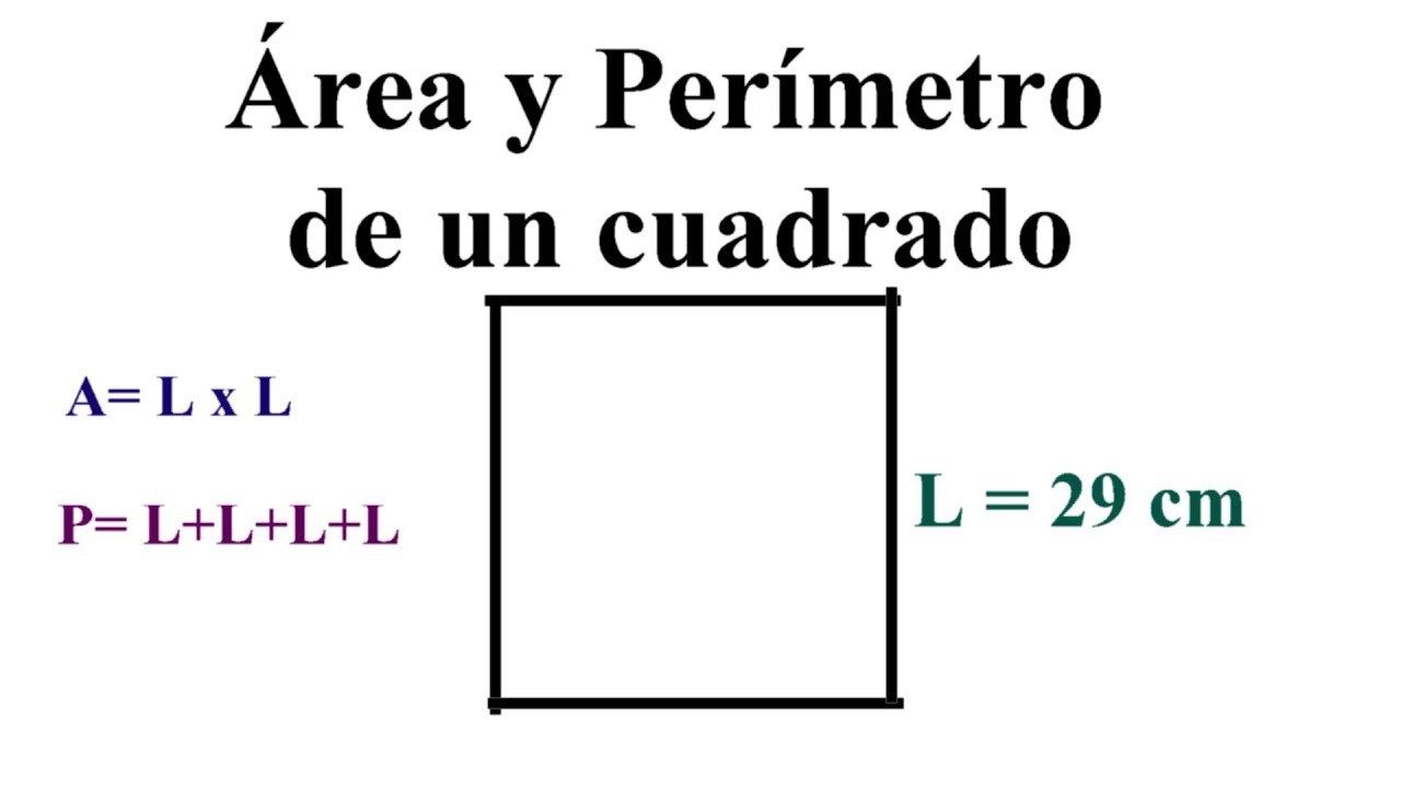 Ejemplos Y Graficas Flashcards