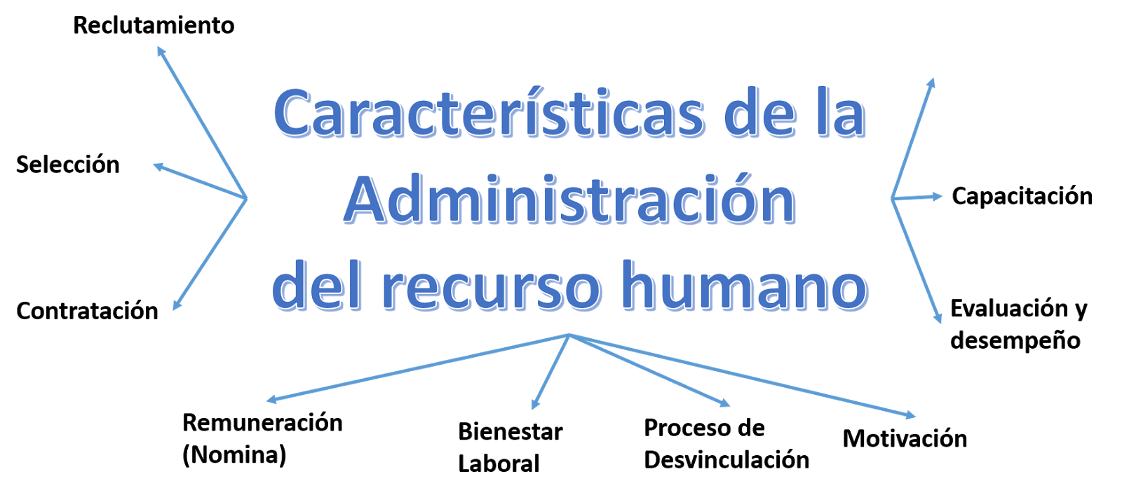 Origen y Desarrollo de la Administración del Personal Flashcards