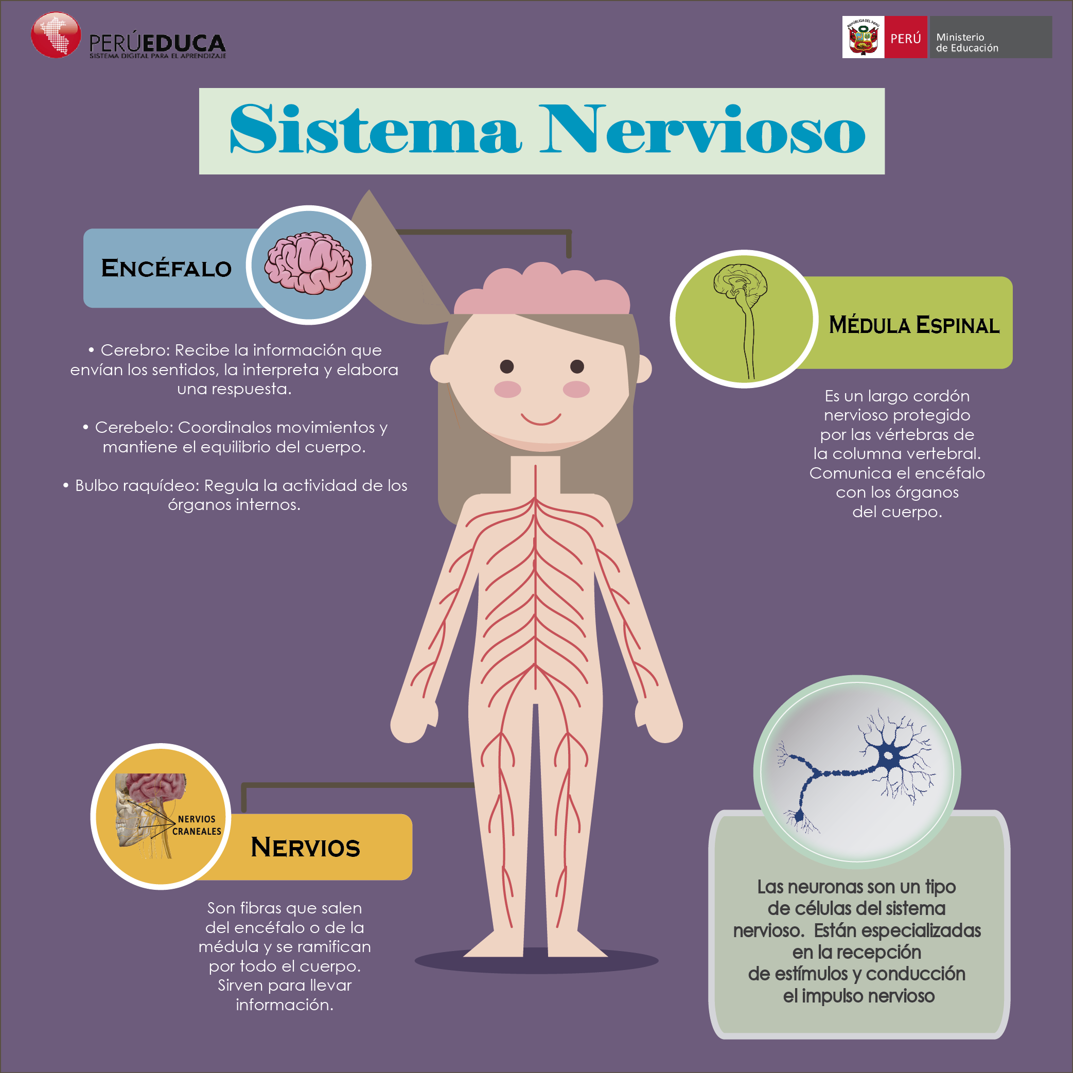 Actividad Integradora 5 Mind Map