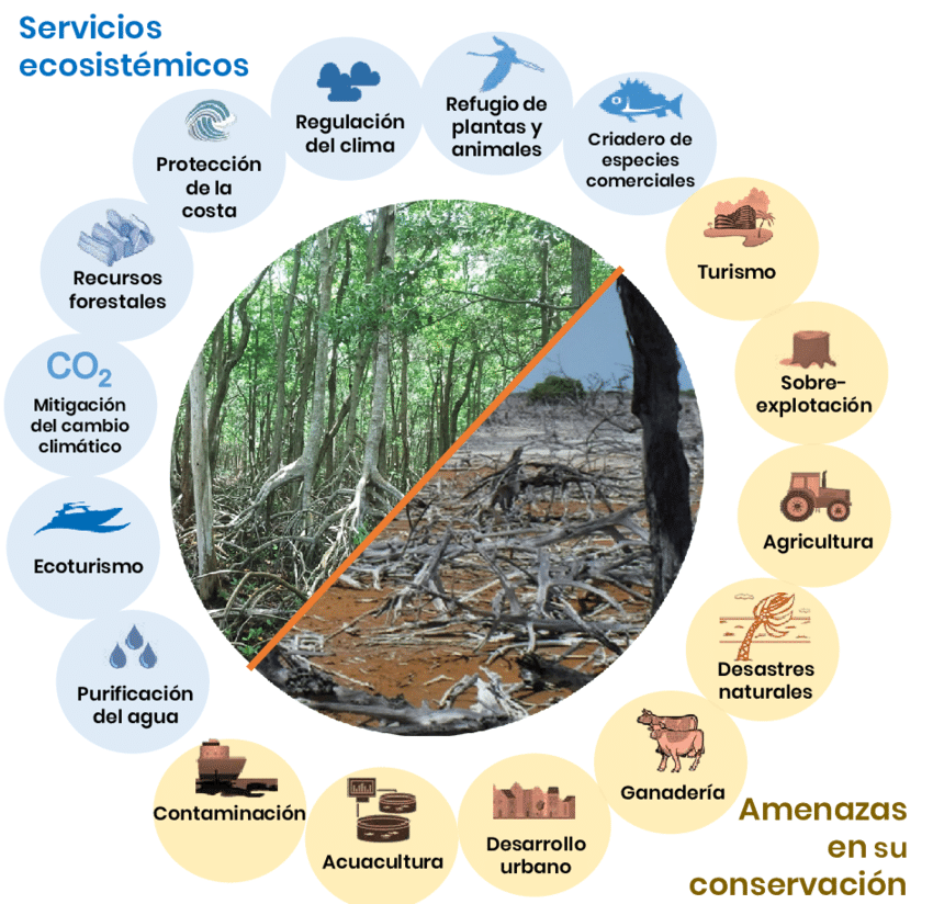 Ganaderia Extensiva Mind Map