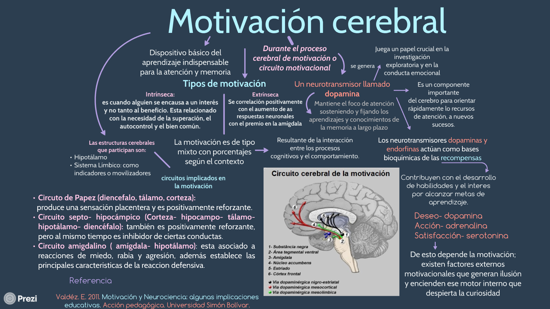 Motivaci N Mind Map