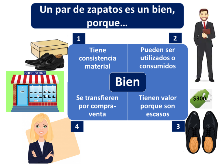 Transacciones En Bienes Y Servicios Mind Map