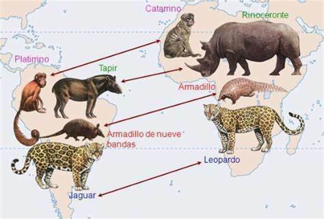 Evolución Mapa Mental