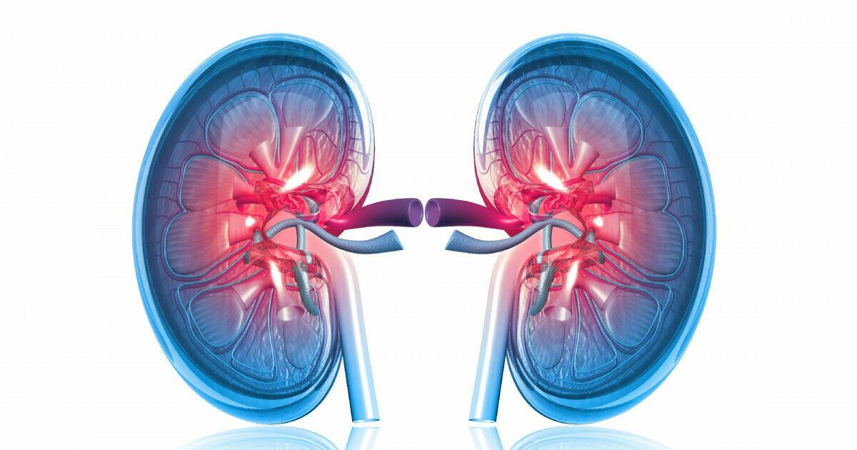 Fisiopatologia Infecci N De V As Urinarias Calculo Renal Flashcards