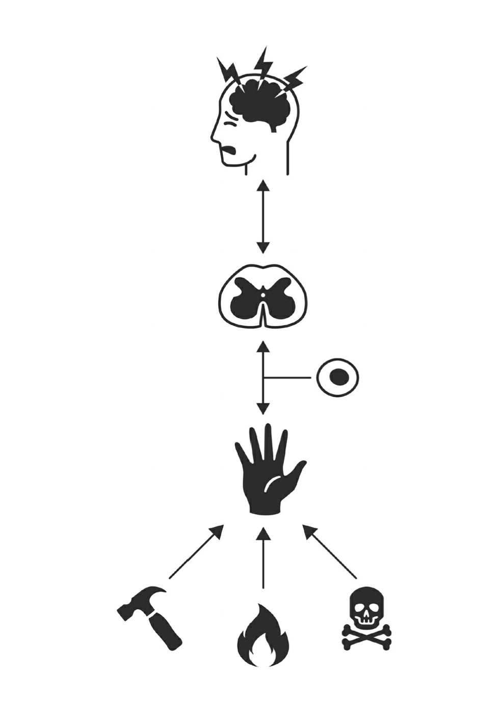 EL DOLOR CRONICO NO ES PARA SIEMPRE Mind Map