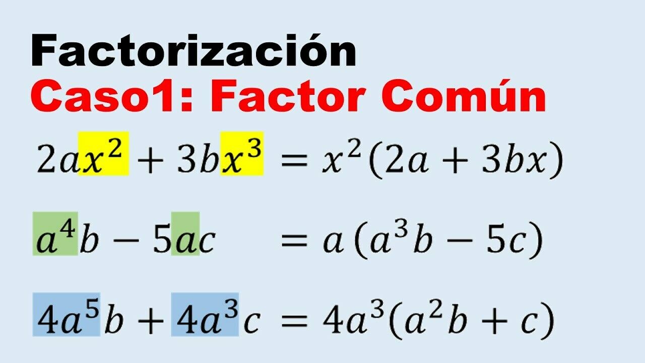 Ejemplos Y Graficas Flashcards