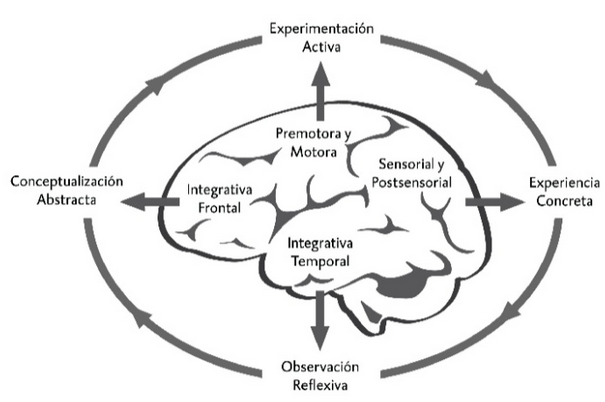 BASES BIOLOGICAS DEL APRENDIZAJE Mind Map