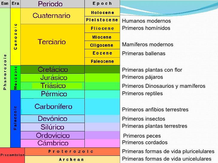 Eras Geologicas Mind Map