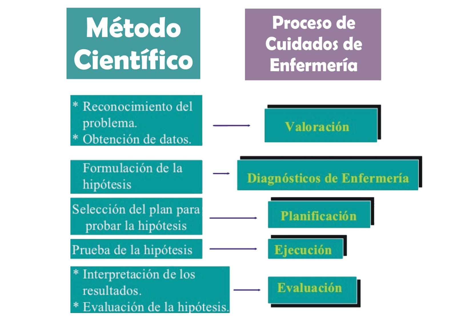 Introducci N Al Proceso Enfermero Mind Map