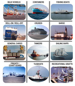 Types Of Vessels | Flashcards