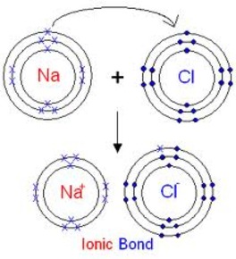 Ionic bonding | Flashcards