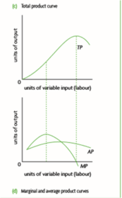 Theory of the Firm Market Structure | Flashcards