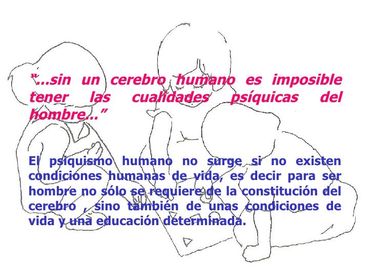 Desarrollo Humano | Flashcards