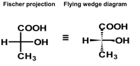 Introduction to Stereochemistry | Flashcards