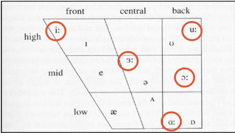 Vowels Recognize Descriptions 