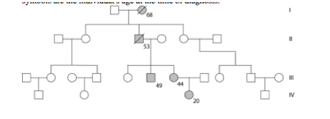 GENETICS QUIZ | Flashcards