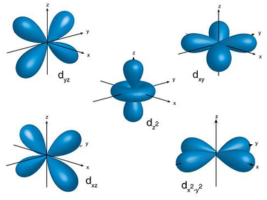 Lecture 5 and 6- The Electronic Configuration of the Atom | Flashcards