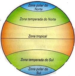 Color de la Piel | Flowchart