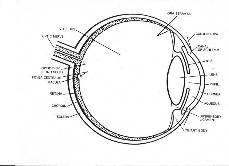 Eye Diagram | Note