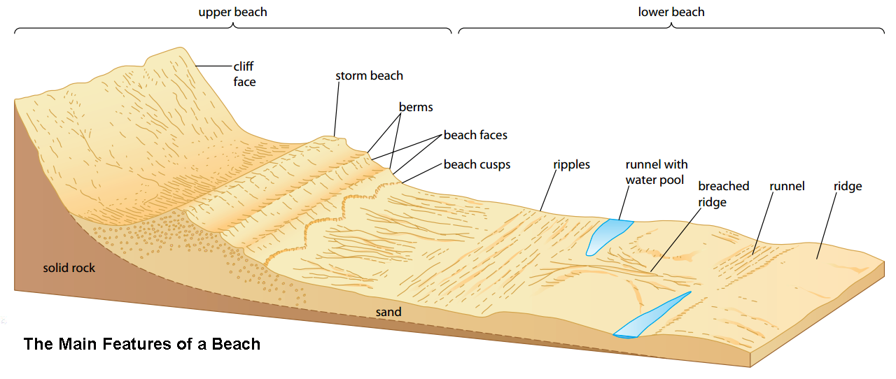 Beach Landforms Diagram