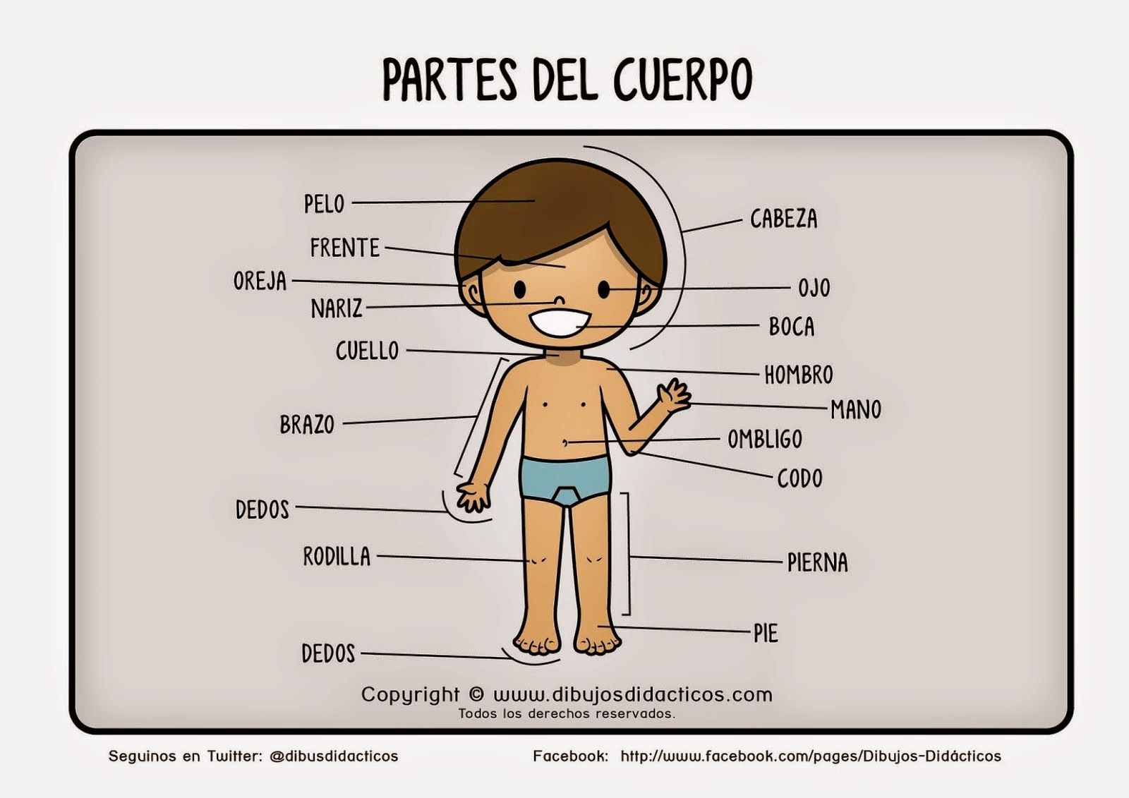 Cuerpo Humano Mind Map