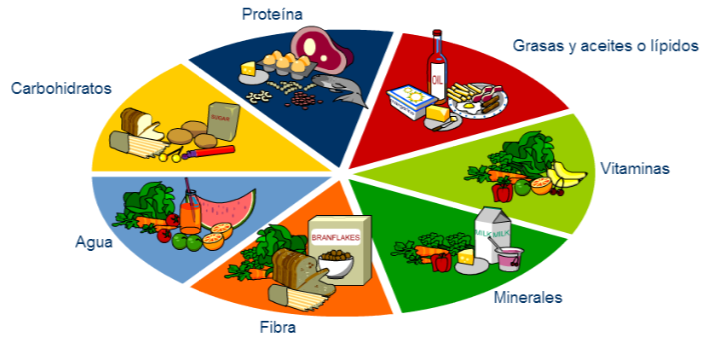 Mi campo laboral | Mind Map