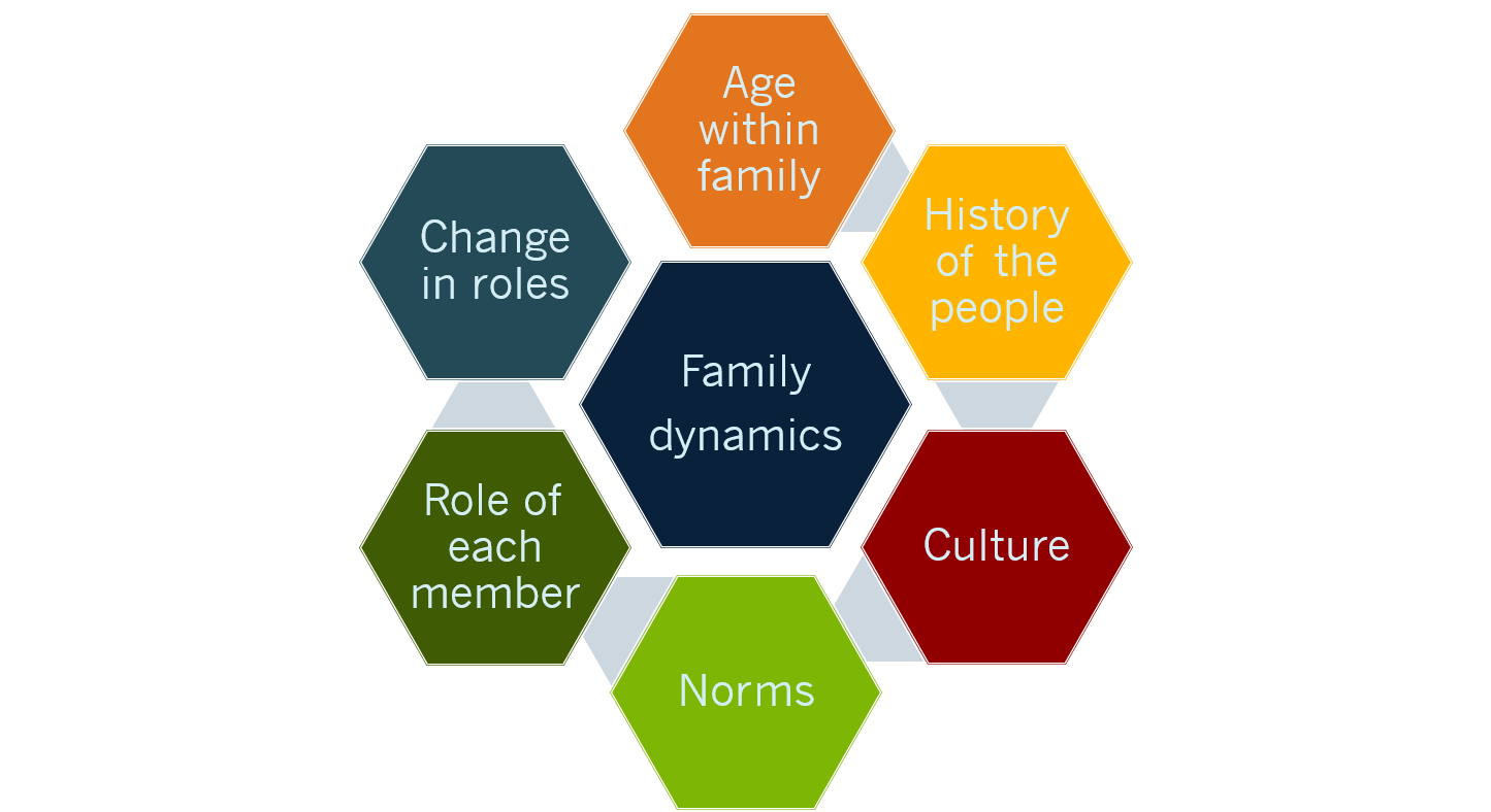 Changes To Family Dynamics | Mind Map