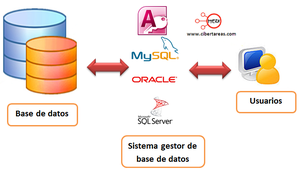 BASES DE DATOS Y DIAGRAMA ENTIDAD -RELACIÓN | Course