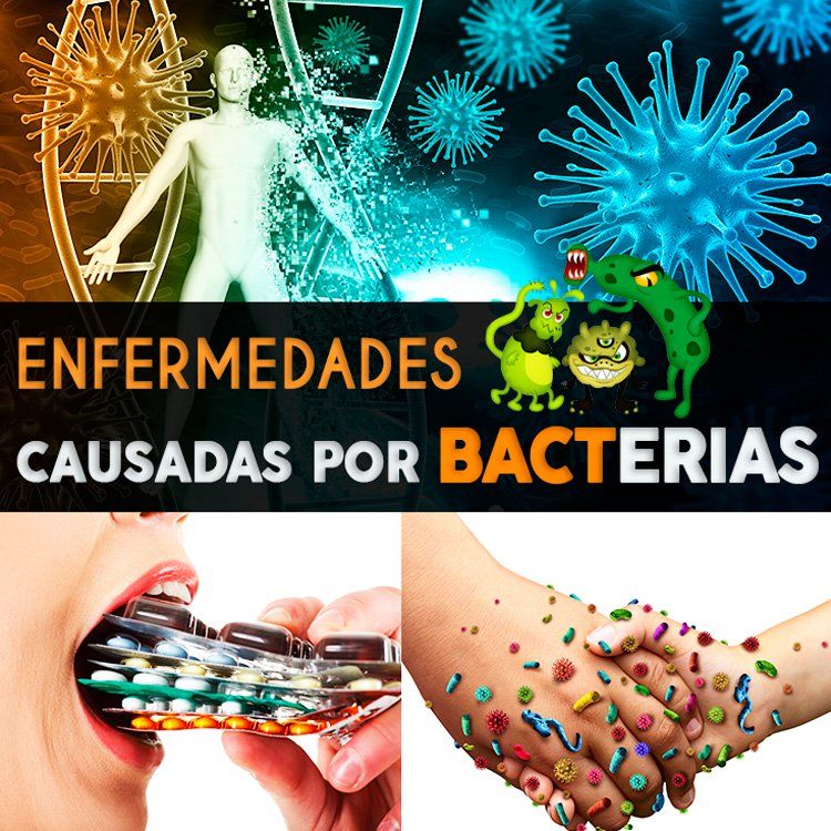 BACTERIAS | Mind Map