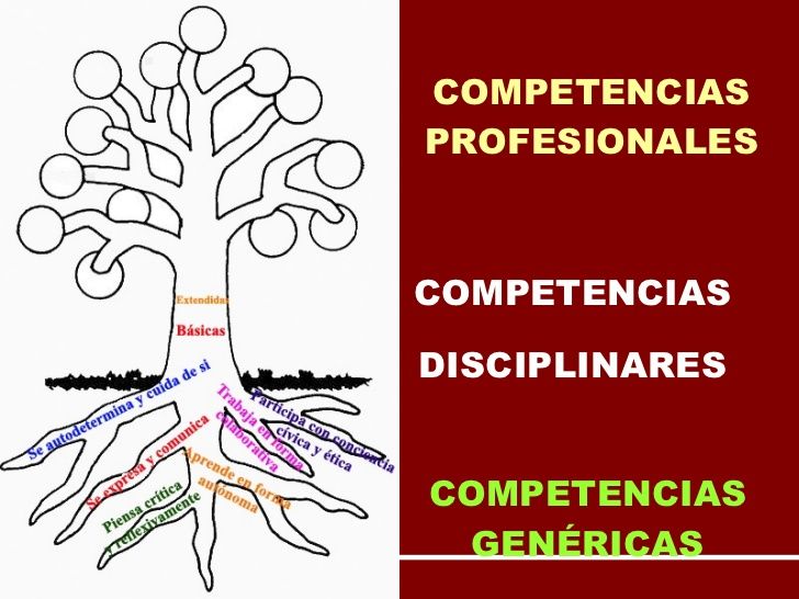 ENFOQUE DE COMPETENCIAS EN LA EDUCACIÓN. | Mind Map