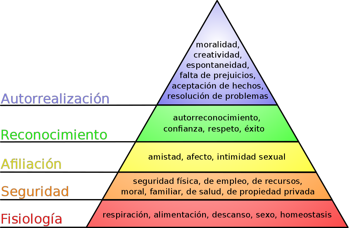 desarrollo humano | Diagrama