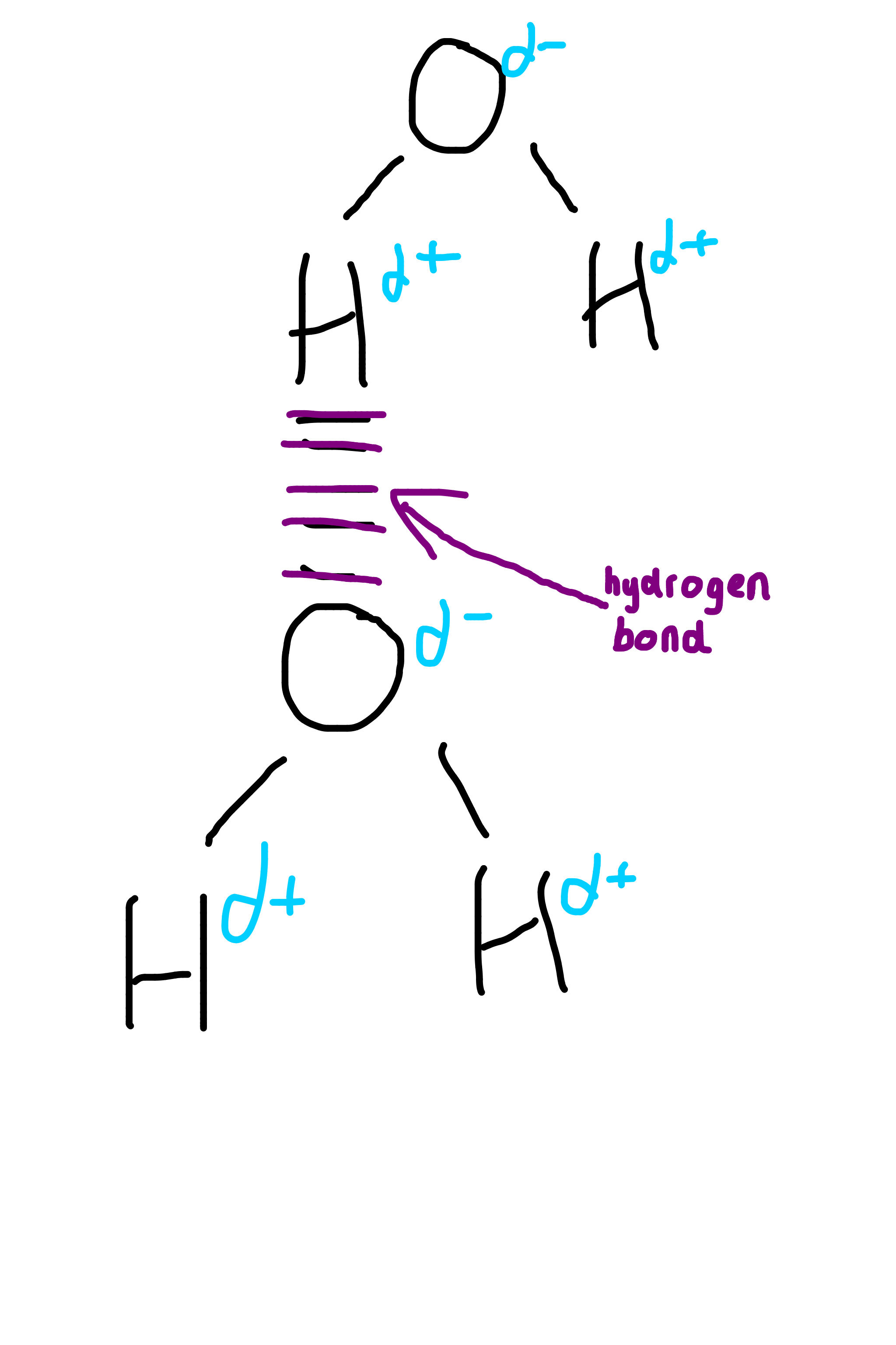 Biological Molecules | Mind Map