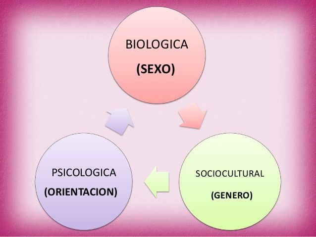 Diferencias Entre Sexo Genero Y Diferencia Sexual Lamas 2000 Mind Map