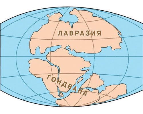 Пангея лавразия и гондвана схема