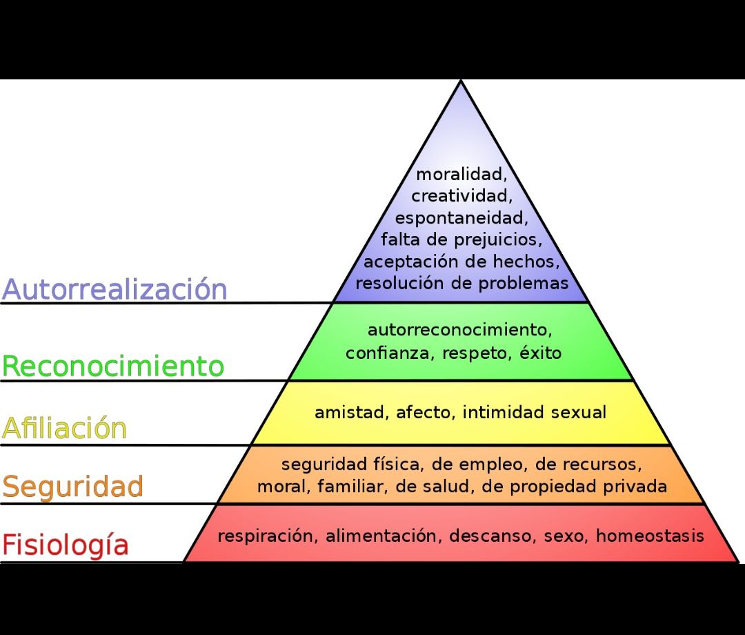 La Actividad Economica Mind Map