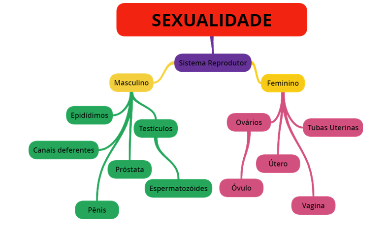 Projeto Sexualidade Slide Set