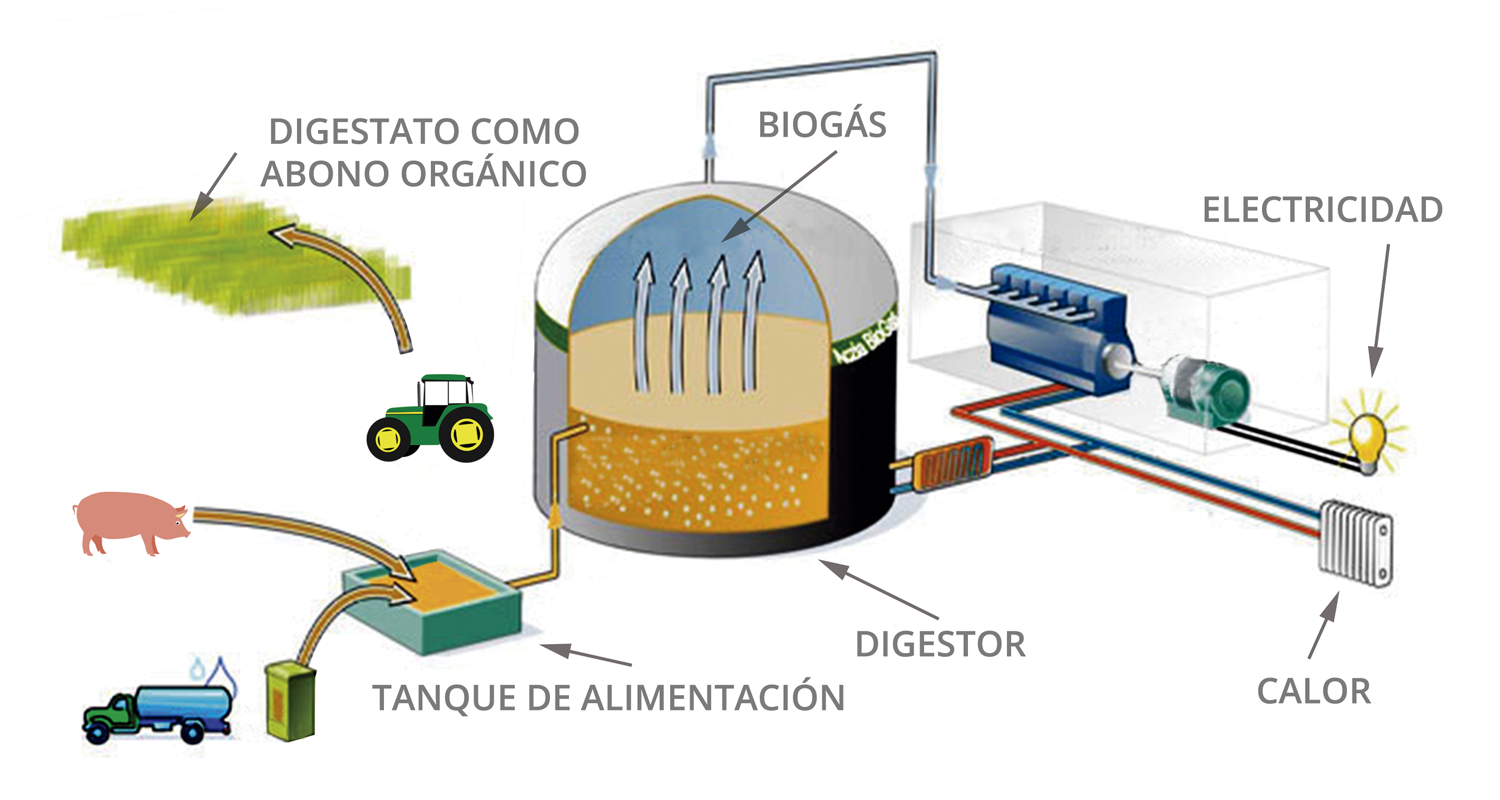 Se Denomina Energía Renovable A La Energía Que Se Obtiene De Fuentes Naturales Virtualmente 9593