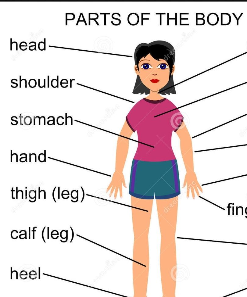 atom-bezohledn-prost-body-parts-mind-map-stvo-en-odstran-n-samostatn