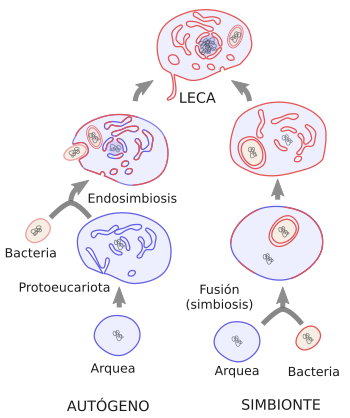 Generalidades De La BiologÍa 